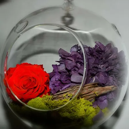 La Mille E Una Notte *